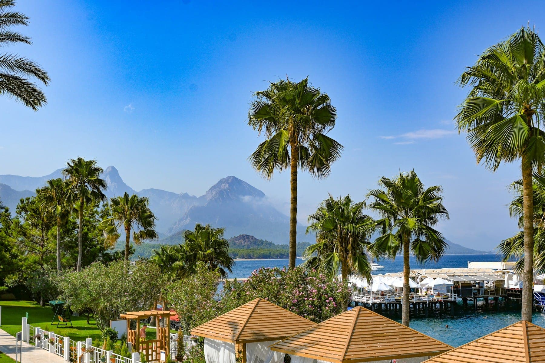 Palm trees and resort roofs on the Antalya coast, with mountains behind