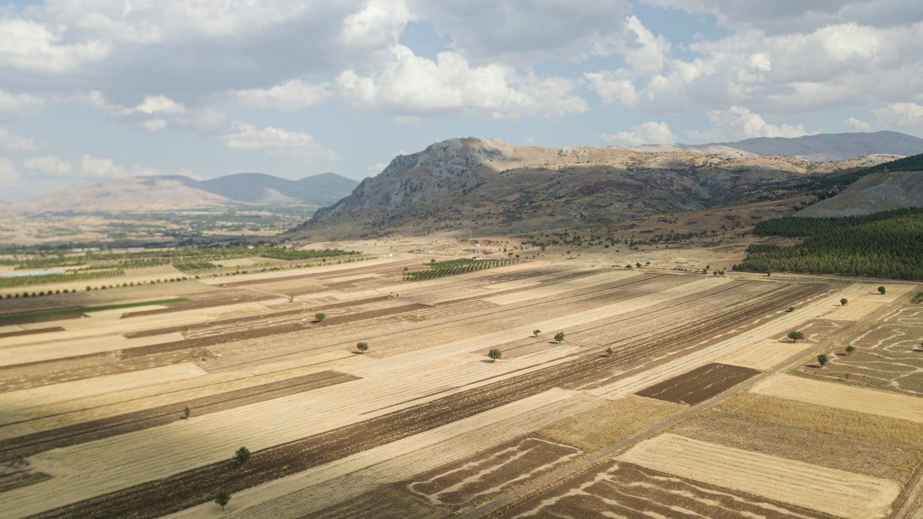 Open farmland stretching towards a mountain ridge under a cloudy sky